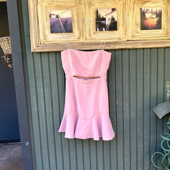 White Fox Pink Mini Dress - Picture 5 of 6
